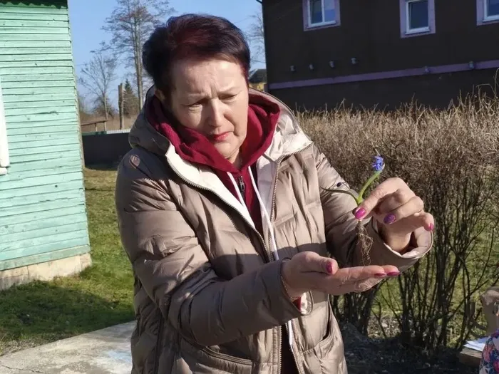 8PHdIXx3-9OOOsjK6WTV3HysVN8INQiEO8Q56brwDjw5Vav1se5mRKieWSW-U3HuVVJoqjmQWWmSqaf0uSXrXpaa