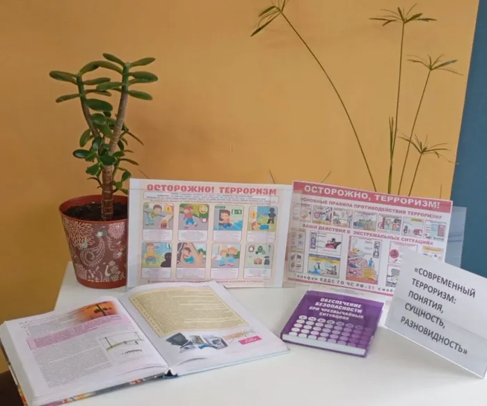 1739783208_knp4w7rvkae