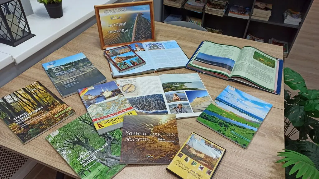 1764664011_1764659463696