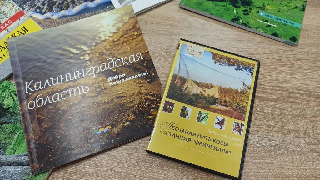 1764664072_1764659463692