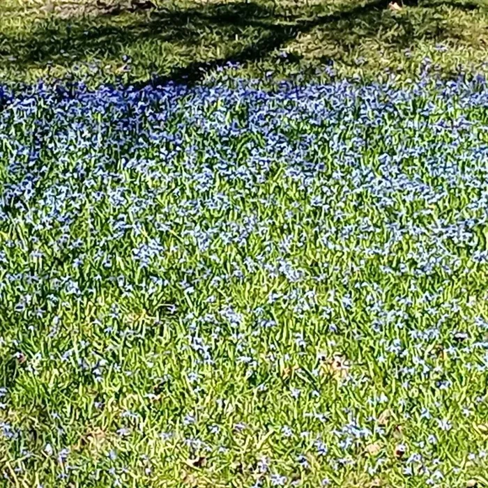 znWeqV1l3AnN3eogFbuxV9AMx_8Fwqk2s5qoOs_Qo0Khz6eS4Ee5hDkmdDY7VDHs8uKV2FELzY9YPULbTxIbT-4b